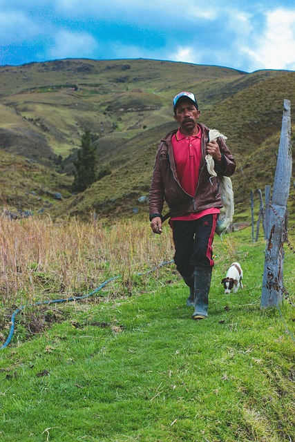 farmer, colombia, farmers, quindio, field, scenery, cocoa, kitchen