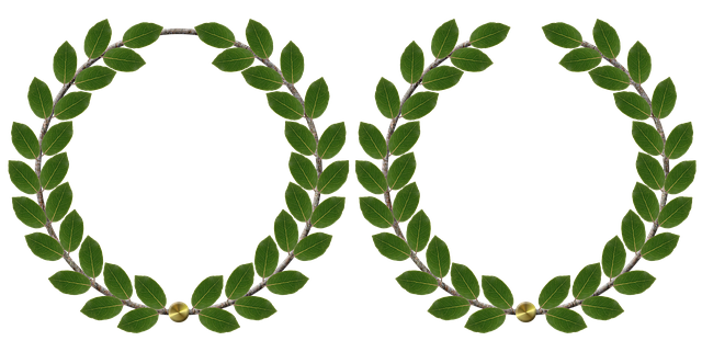 laurel wreath, anniversary, laurels, award, nature, leaves, winner, isolated